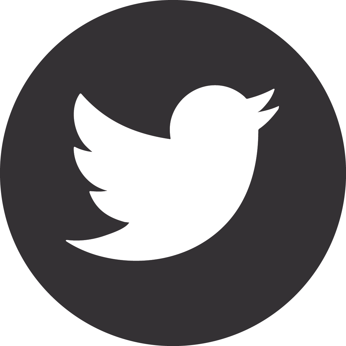 Amir Hassanzadeh Twitter
